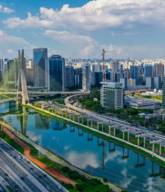 Pinheiros-em-SP.jpg